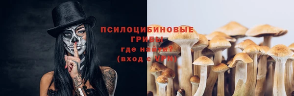 стафф Каменка