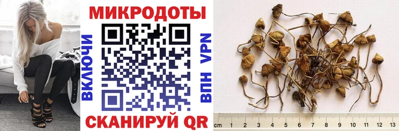 Галлюциногенные грибы Psilocybine cubensis  магазин  наркотиков  MEGA зеркало  Нерехта 